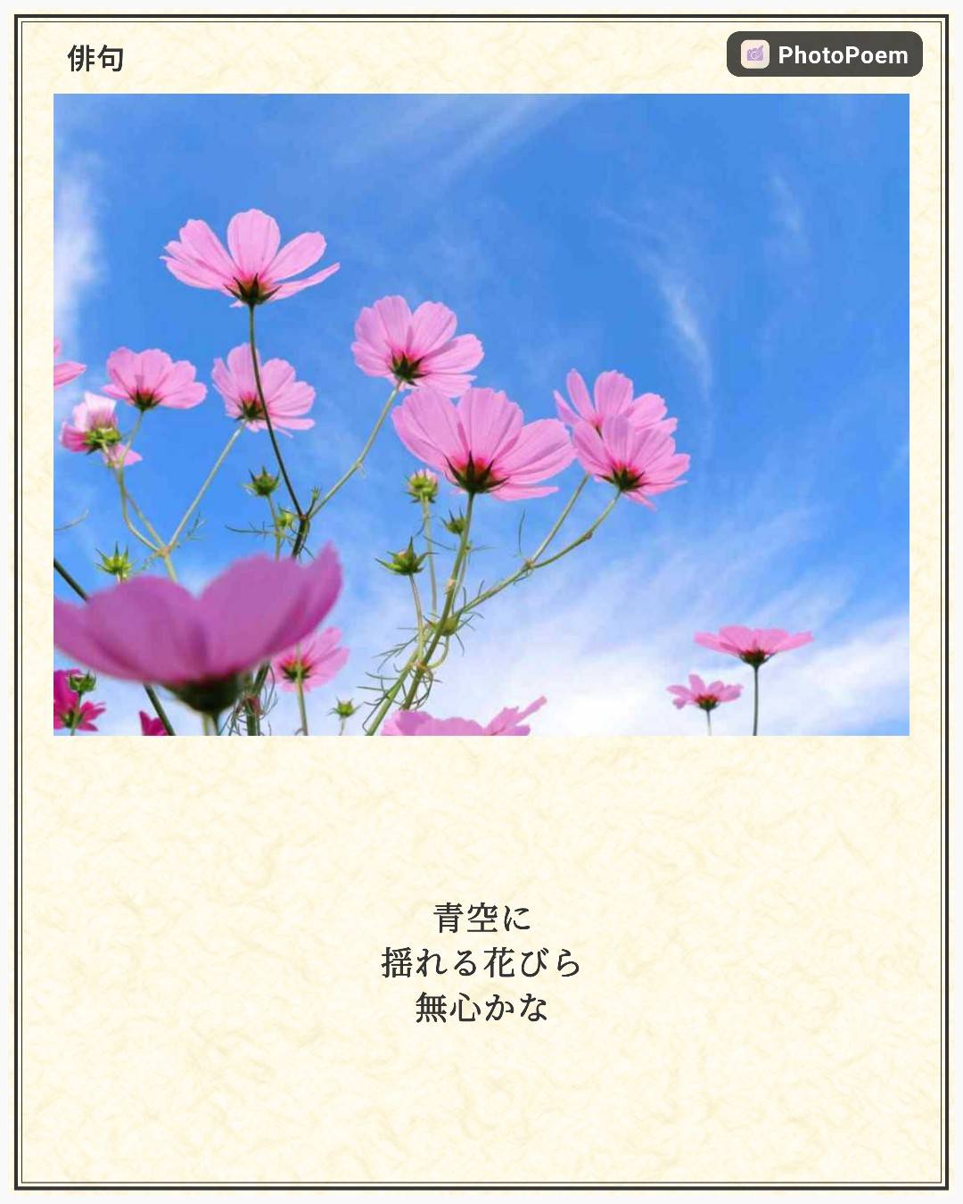 アプリスクリーンショット 3