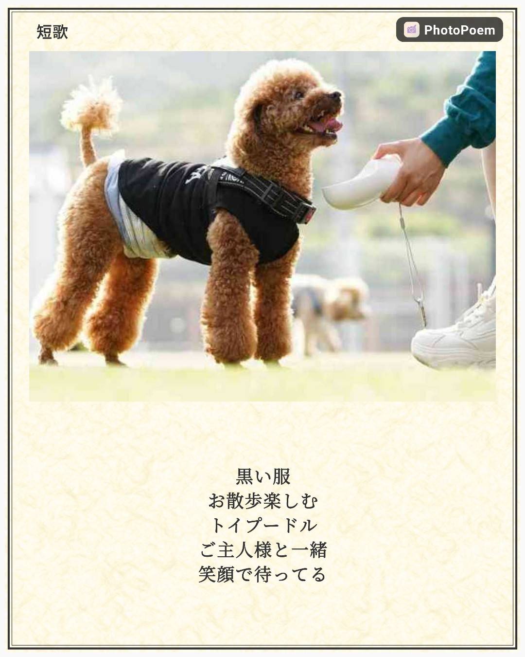 アプリスクリーンショット 4